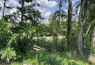 Kleingartenidyll beim Marchfelder Kanal im Eigentum