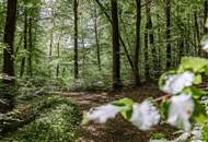 LEBEN auf der SONNENSEITE - 3-Zimmer-Gartenwohnung - PROVISIONSFREI
