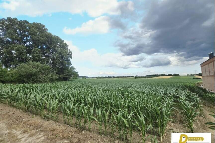 Baugrundstück in 2111 Tresdorf – 1.001 m² in toller Ruhelage, Grund und Boden-kauf, 470.470,€, 2100 Korneuburg