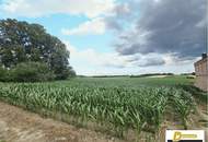 Baugrundstück in 2111 Tresdorf – 1.001 m² in toller Ruhelage