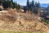 Ihr Platz über den Wolken: Sonniges Grundstück in Thalgau mit Bergpanorama!