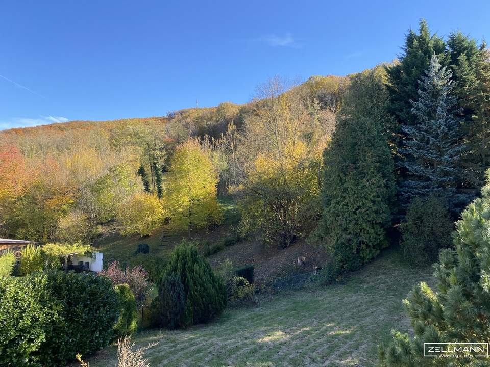 „Ein Stück Wienerwald – Raum für neue Lebensideen“ | ZELLMANN IMMOBILIEN