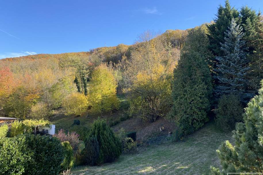 „Ein Stück Wienerwald – Raum für neue Lebensideen“ | ZELLMANN IMMOBILIEN, Grund und Boden-kauf, 750.000,€, 2384 Mödling