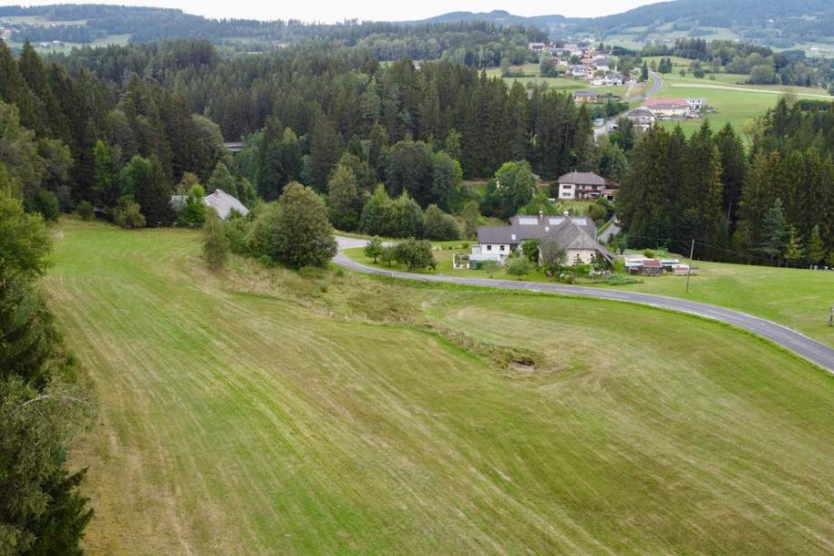 2,2 Hektar Landwirtschaftsgrund in 4184 Schönegg zu kaufen!, Gewerbeobjekt-kauf, 50.000,€, 4184 Rohrbach