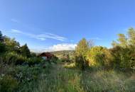 1953m² Grundstücksfläche - direkt am Bisamberg - Stadtvilla mit parkartigen Garten - privat Zugang zum Wald - Grünblick - Ruhelage