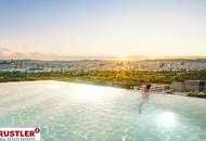 Ins neues Jahr mit Ausblick!