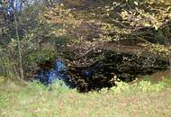 TRAUMHAFTES GRUNDSTÜCK MIT TEICH AM STEINRIEGL