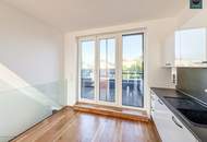Klimatisierte Dachgeschoss Maisonette mit 2 Terrassen und Kamin nahe Uno City!