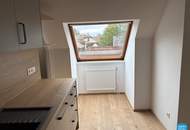 Dachgeschoss am Pötzleinsdorfer Park