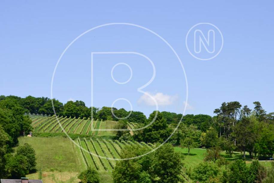 Schöner Baugrund mit Fernsicht in Grünruhelage!, Grund und Boden-kauf, 399.000,€, 3400 Tulln