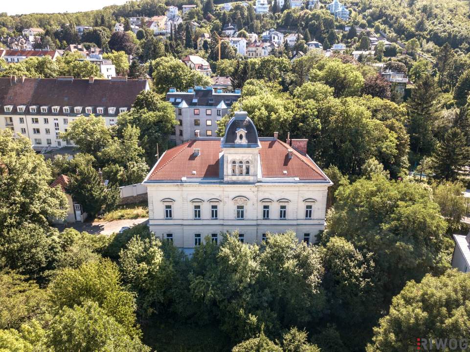 WIENTALBLICK | Lichtdurchflutete Wohnung in der historischen Villa Seutter mit 4,4m Raumhöhe & Blick auf denkmalgeschützte Linde | sanierungsbedürftig