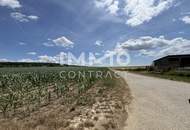 Provisionsfrei !!! Leben in der Natur nur noch 2 Häuser frei