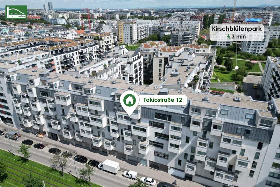 All-inclusive wohnen! Kompakte 1-Zimmer-Wohnung in der Tokiostraße 12!, Wohnung-miete, 463,54,€, 1220 Wien 22., Donaustadt