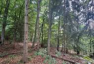 Idyllisches Grundstück am Ende einer Sackgasse – sonniger Bauplatz mit eigenem Wald