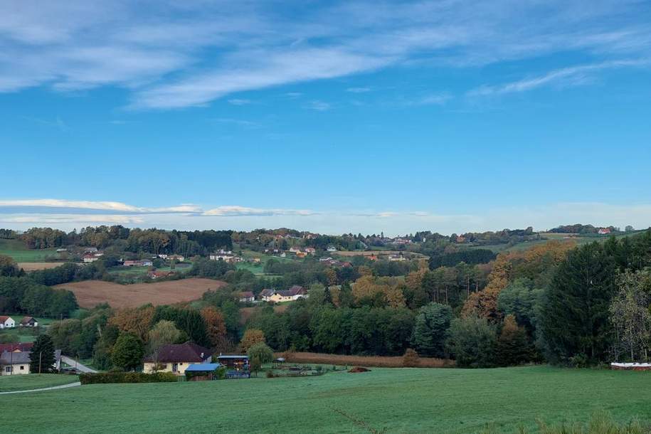 Bauernhaus mit zweitem Wohnhaus, Nebengebäude und Scheune in schöner Aussichtslage, Haus-kauf, 298.000,€, 7543 Güssing