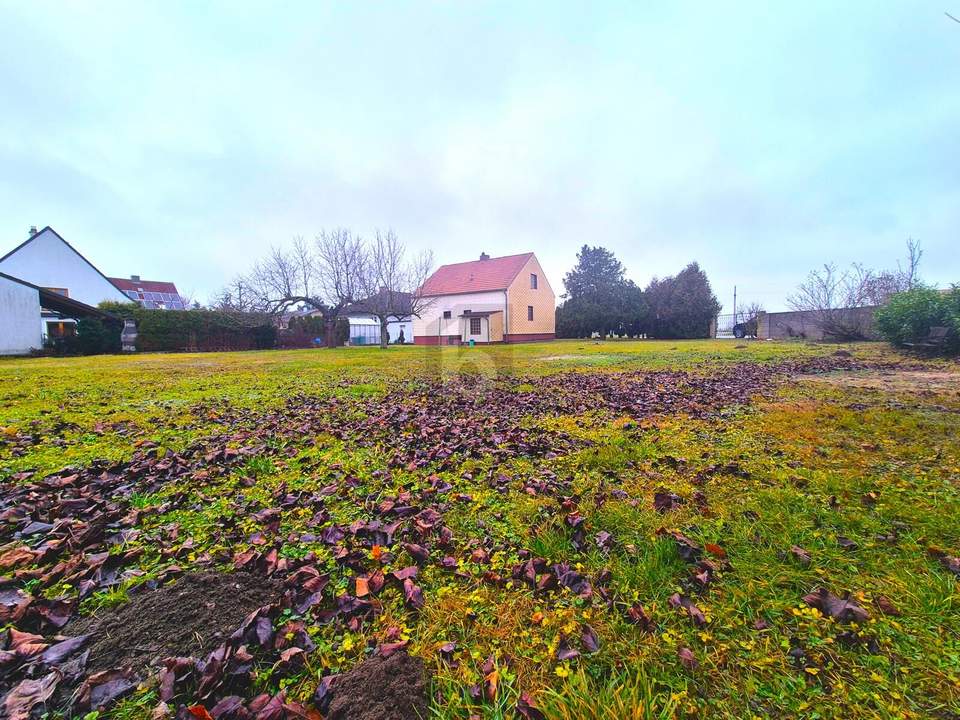 NATUR, FREIHEIT & PANORAMABLICK AUF DEN SCHNEEBERG