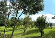 PREIS - LEISTUNG - UNSCHLAGBAR - Gepflegtes Einfamilienhaus zum fairem Preis - Koffer packen und einziehen - LEGEN SIE IHR ANGEBOT