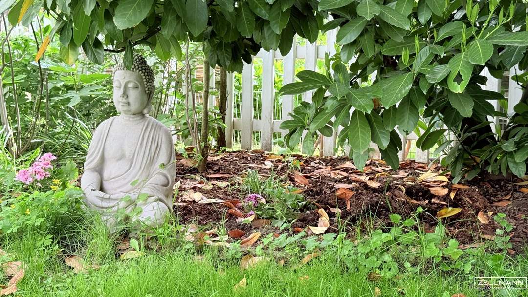 Wohnen auf höchstem Niveau : zwischen Stadt &amp; Natur" | ZELLMANN IMMOBILIEN