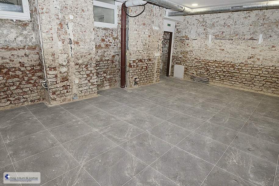 135 m² WERKSTATT für Vereine , Clubs und gute Idee zu haben, Gewerbeobjekt-miete, 1.088,97,€, 1070 Wien 7., Neubau