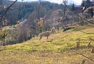 Sonnenhang trifft auf Weitblick! Großzügiges Einfamilienhaus in begehrter Lage von Langaberg