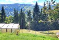 Wohnen direkt am Waldrand mit Panoramablick