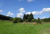 Klassischer Waldviertler Hof mit ca. 2 ha Grund!