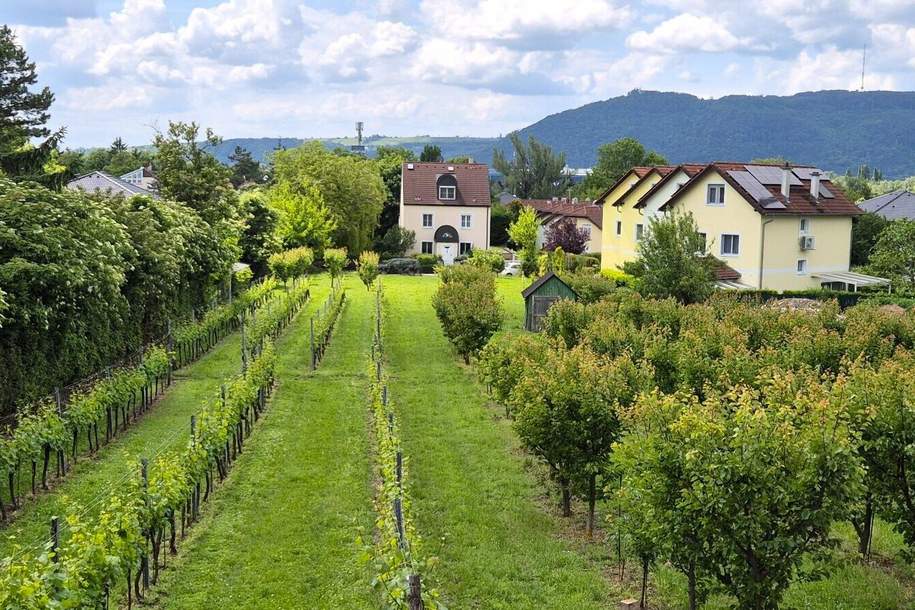 Villenbaugrund am Fuße des Bisambergs in der Langenzersdorfer Kellergasse, Grund und Boden-kauf, 1.395.000,€, 2103 Korneuburg