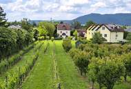 Villenbaugrund (1.335m²) in der Langenzersdorfer Kellergasse am Fuße des Bisambergs