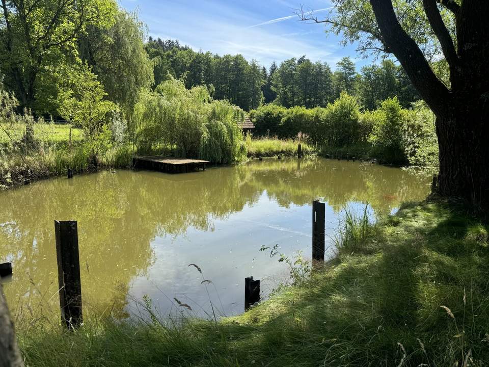 Traumhaftes Grundstück in Hitzendorf - Absolute Ruhelage mit Teich!