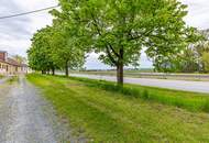 Weinviertler Charme: Presshaus mit großzügigem Weinkeller – Modernisierungschance!