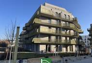 „Hirschfeld – Naturnah wohnen“ – Niedrig-Energie-Standard-Neubau in begehrter Grün-Ruhelage! - JETZT ZUSCHLAGEN
