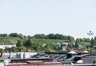 Das Severin Penthouse: Grandioser Ausblick in Sieveringer Bestlage