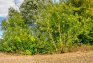 3430 Staasdorf Großzügiges Wohnhaus mit über 6000 m² Garten/Grünland in Bahnhofsnähe - mit Photovoltaik Anlage