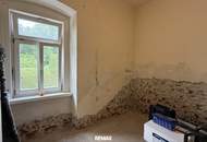 Sanierungdürftiges Einfamilienhaus mit Gewölbekeller und großem Potenzial in Kohfidisch