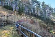 Naturparadies mit Panoramablick - Gepflegtes Einfamilienhaus mit großem Grundstück und Wintergarten