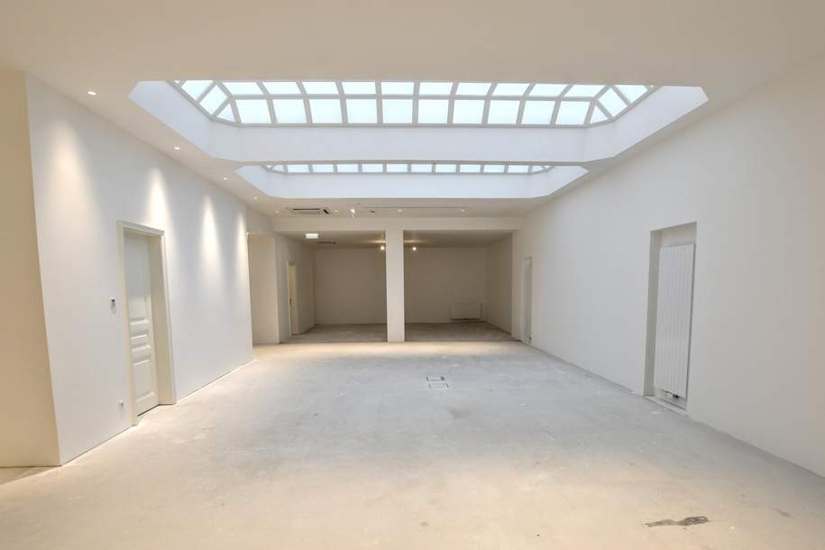 Erstbezug nach Sanierung – Repräsentatives Altbau-Büro nahe Rathaus mit Terrasse, Gewerbeobjekt-miete, 19.732,26,€, 1010 Wien 1., Innere Stadt