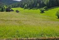 Der Sommerhitze entfliehen - Biosphärenpark Nockberge