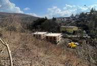 SAGENHAFT - Nachhaltige Massivholz-Einfamilienhäuser