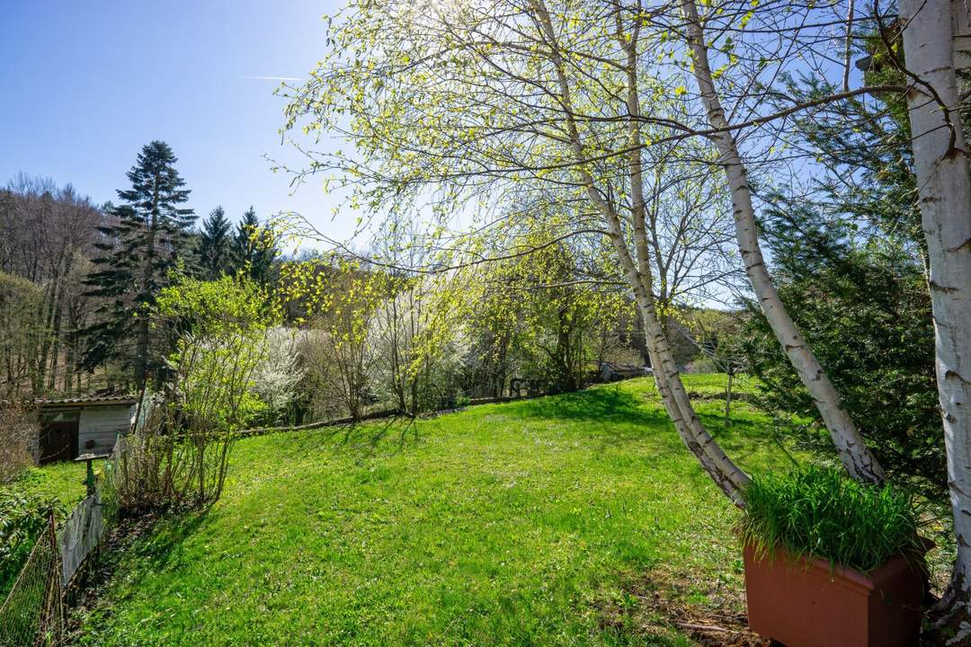 Malerischer Baugrund mit Grünlandanteil in Süd-Ruhelage am Riederberg