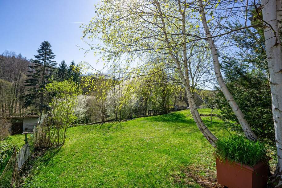 Malerischer Baugrund mit Grünlandanteil in Süd-Ruhelage am Riederberg, Grund und Boden-kauf, 230.000,€, 3004 Tulln