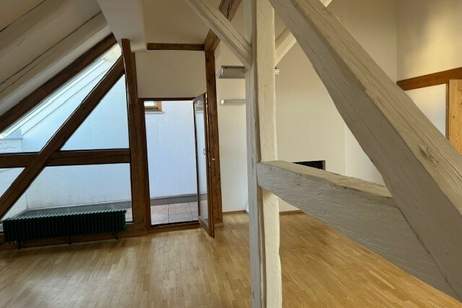 extravagantes Penthouse Appartement - riesige Dachterrasse - mitten im Zentrum, Wohnung-miete, 1.575,00,€, 2620 Neunkirchen