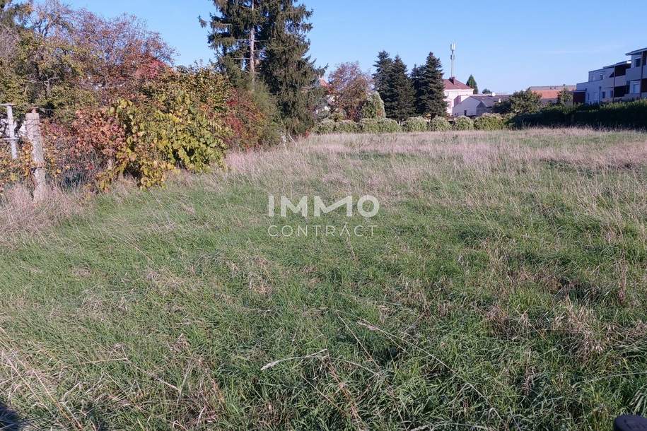 großer Baugrund in Hohenau - im Zentrum und doch ruhig in einer Einbahn, Grund und Boden-kauf, 249.000,€, 2273 Gänserndorf