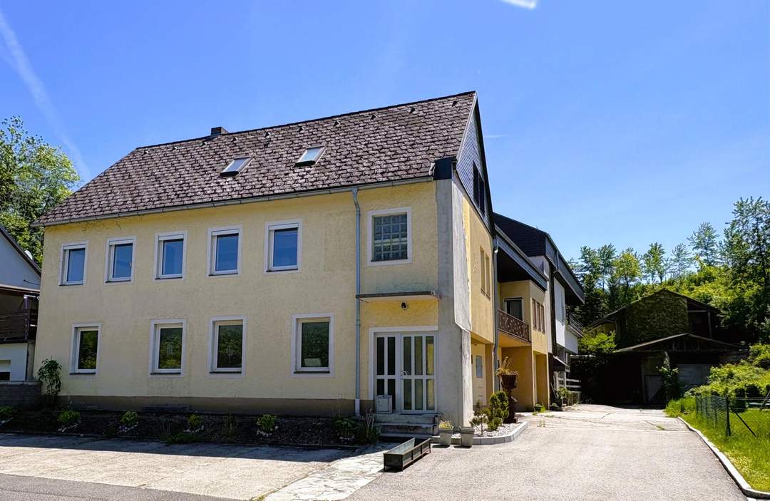 Wohn-u. Geschäftshaus mit XL Wohnung