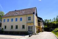Wohn-u. Geschäftshaus mit XL Wohnung