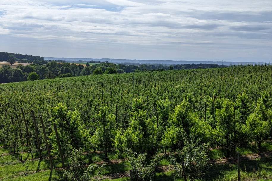 2,5 ha Landwirtschaftlicher Grund in sehr guter Lage, Gewerbeobjekt-kauf, 4611 Wels-Land