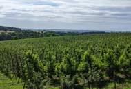 2,5 ha Landwirtschaftlicher Grund in sehr guter Lage