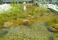 900 m² WOHN-NUTZFLÄCHE! WOHN- UND GESCHÄFTSHAUS NAHE WIEN!