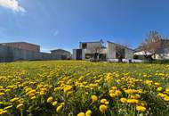 Hochwertig. Modern. Anders. – Exklusives Einfamilienhaus mit Pool!