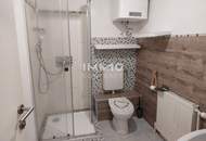 Terrassenwohnung im 1.Stock mit Donaublick im Zentrum von Pöchlarn