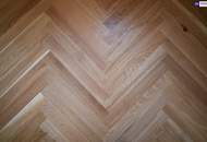 ++ SUNNY SIDE UP + TOP 1 ++ ERSTKLASSIGER ALTBAU NACH HOCHWERTIGER SANIERUNG + großartige Freiflächen + ruhige Wohngegend